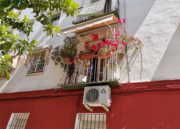 Women Only - Solo Mujeres